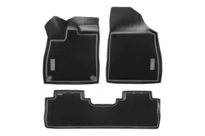 Коврики салонные комбинированные для GAC GS8 II 21 (1,2 ряд) (2021)