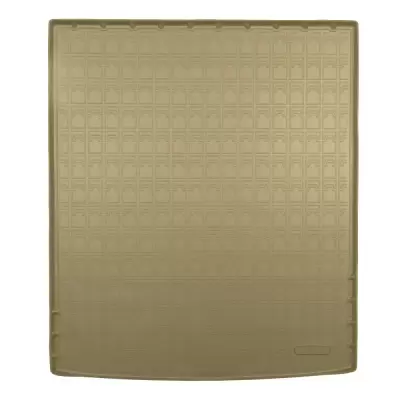 Коврики в багажное отделение для Haval Н5 II (2023) (бежевый)