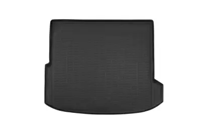 Коврики в багажное отделение для EXEED RX (2023)