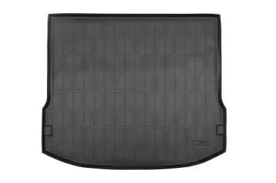Коврики в багажное отделение для HONGQI HS5 I (2019)