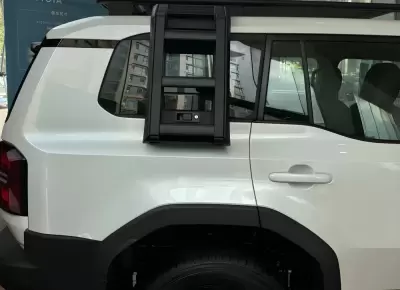 Боковая лестница на Toyota LC250 черный