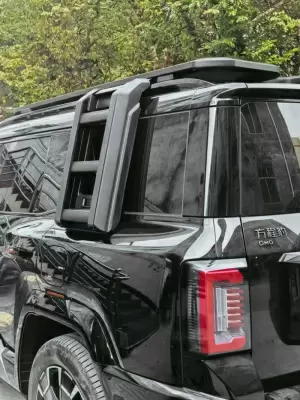 Боковая лестница на Leopard 8 черный от интернет-магазина AUTOBOKS.kz. 