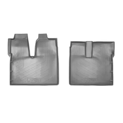 Коврики салонные для MAN TGX TG3 (2020) (серый)