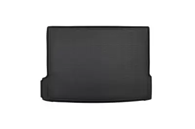Коврики в багажное отделение для BMW X2 (F39) (2017)