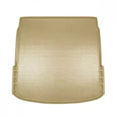 Коврики в багажное отделение для Audi e-tron I (2018) (бежевый)