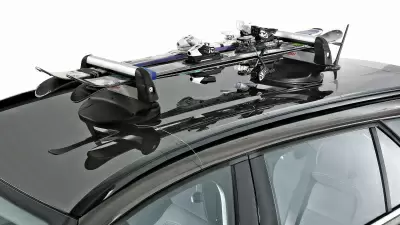 FABBRI Husky Ski & Board от интернет-магазина AUTOBOKS.kz. 