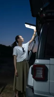 Светильник Wild Land Galaxy Solar Work / Garden Light черный